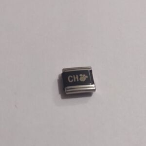 CH 🐾 Dangle Italian Link Stainless‎ Steel Charm for Nomination Bracelet